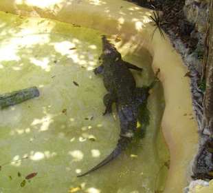 Manati Park