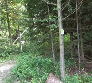 Hochgehnießen - Premiumspazierwanderweg