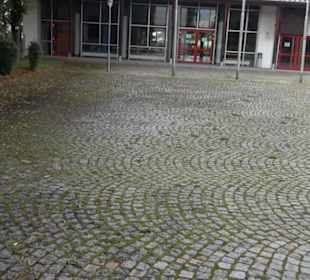 Pfarrkirche St. Martin