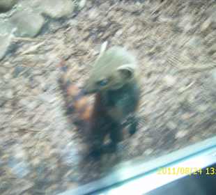 Besuch im Berliner Zoo