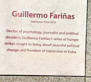 Kubanischen Menschenrechtler