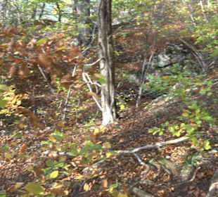 Höllenlöcher Hohenneuffen