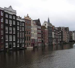 Nicht nur Tulpen aus Amsterdam