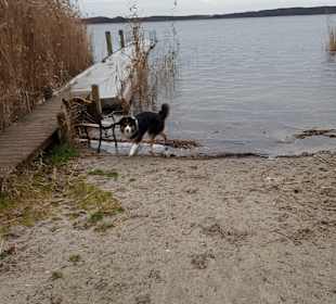 Wandern Zwenzow