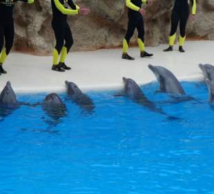 „Loro Parque" Park