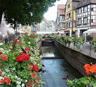 Grandioser Blumenschmuck