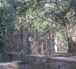 Der Botanische Garten im März 14