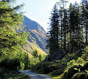 Der Weg zur Sulztal-Alm