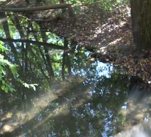 Baumlehrpfad Zollertal