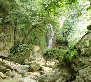 Wasserfall mitten im Wald