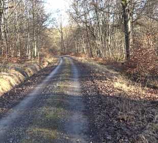 Ochsenweiher Rundweg