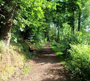 Wandern Schenkenzell