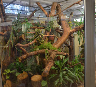 Zoo