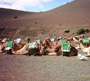 Timanfaya Nationalpark