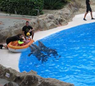 Loro Parque