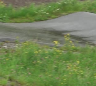 Wanderung rund um den Stadtsee