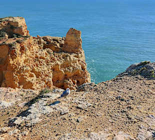 Ausblick Carvoeiro Boardwalk