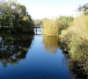 Blick über stille Wasserflächen der Fuldaaue