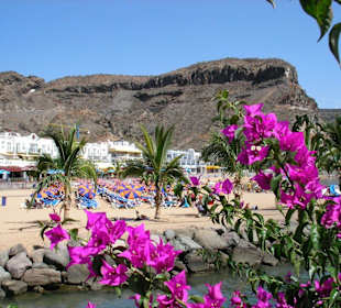 Strand von der Hafenseite aus