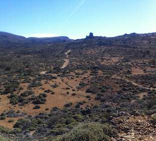 Wege sind gut auszumachen