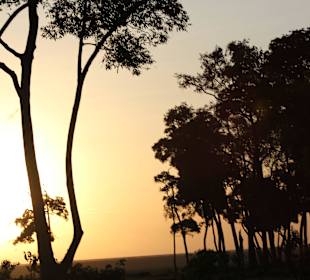 Sonnenuntergang in Masai Mara 