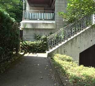 Markweghalle