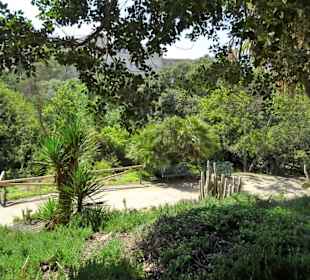 Rundgang durch den Botanischen Garten Cagliari