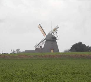 Amrumer Windmühle & Heimatmuseum