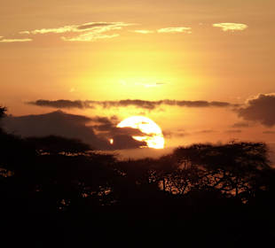 Sonnenuntergang im Amboseli