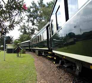 Royal Livingstone Express