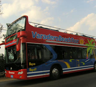 Sightseeing tour Bus