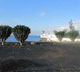 Blick von der Promenade zum Hafen