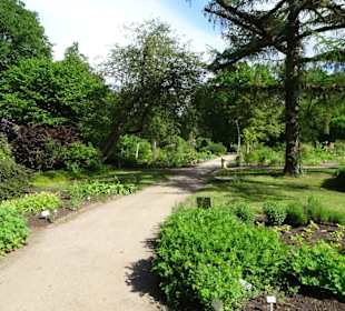 Spaziergang durch den Botanischen Garten Bremen