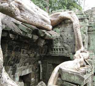 Ta Prohm