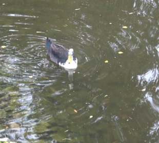 Erlebnisbauernhof und Wildgehege