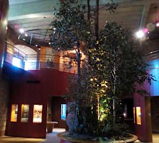 Schloss Lützelstein in La Petite Pierre