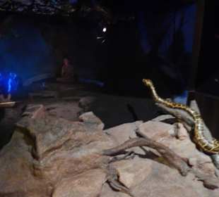 Luang Phor Koon lebte im Wald