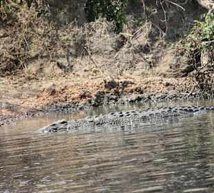 ...immer aufpassen an Gewässern