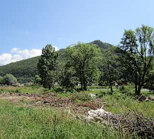 Valea Mureșului / Mureș-Tal 