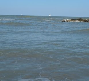 Римини, море