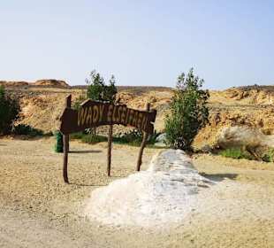 BBQ Dinner - Nighttour powerd by  E-Motion