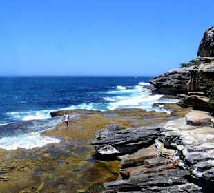 Bondi to Coogee Walk