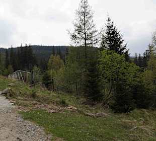 Berg Schneekoppe/Śnieżka