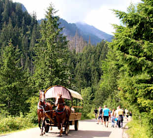 Weg- Meeresauge Zakopane. 