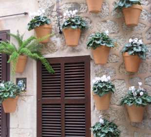 Typischer Blumenschmuck der Häuser