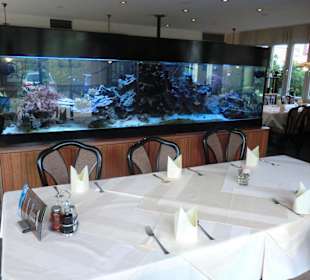 Innenausstattung mit Aquarium