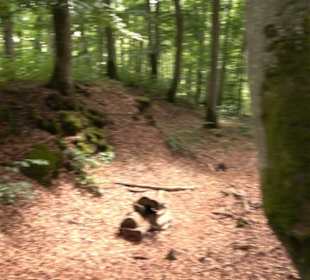 Hochgeträumt Premiumwanderung