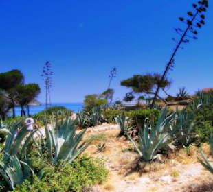 Wyspa Rodos, Termy Kalithea