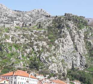 Kotor