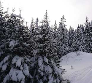 Grafenmatt, Feldberg